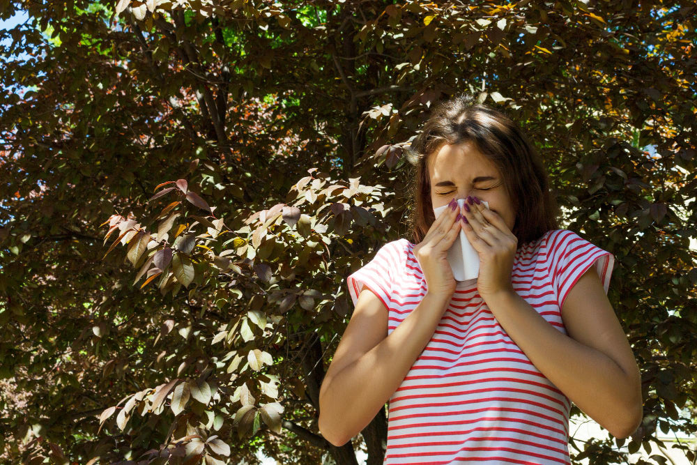 can-hayfever-cause-nosebleeds-welzo-welzo