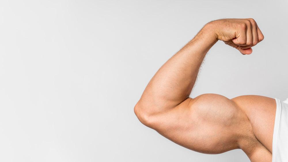 Does Turkesterone help muscle growth Welzo