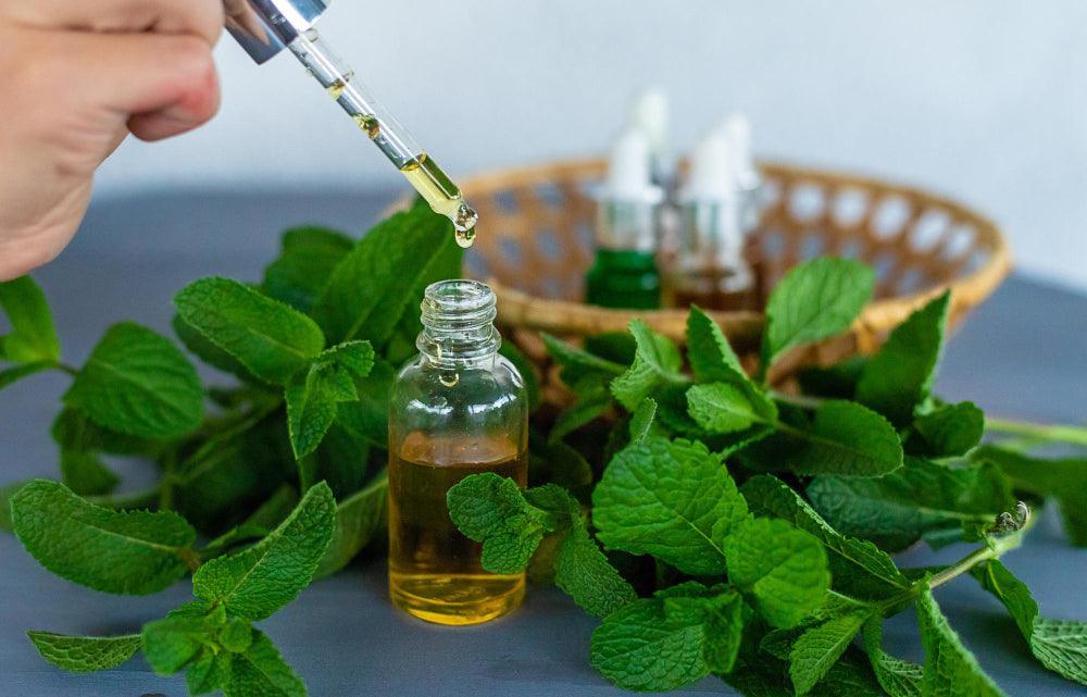 Peppermint Essential Oil How to Use for Health Benefits Welzo