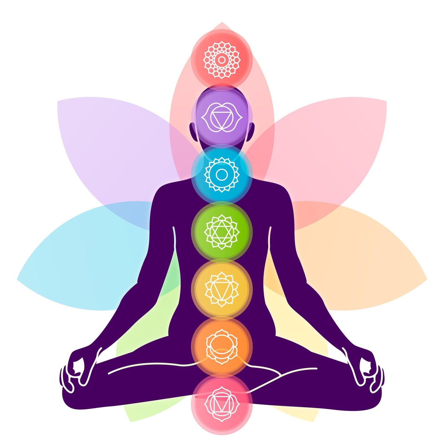 Solar Plexus: Functions, Chakra & Health Impact - welzo