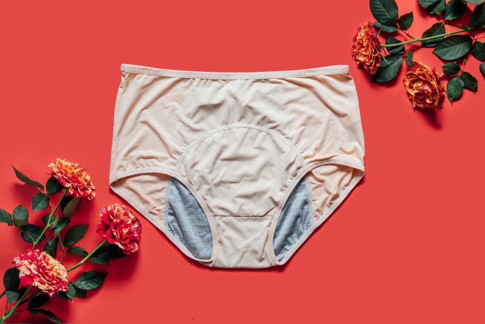 saalt Reusable Period Underwear - Comfortable, Thin, and Keeps You Dry from  All Leaks (Lace High Waist Brief)