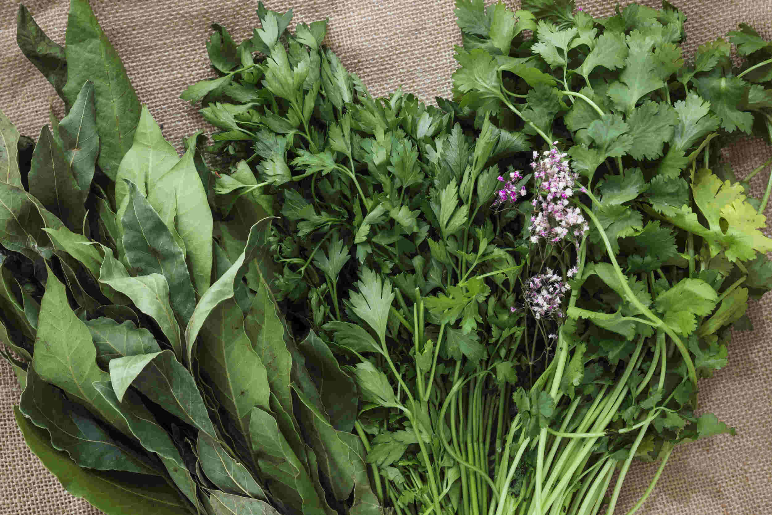 Herbes