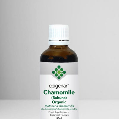 Epigenar Chamomile (Babuna) Organic - welzo