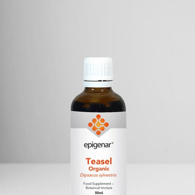 Epigenar Teasel Organic - welzo