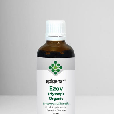 Epigenar Ezov (Hyssopus) Organic - welzo