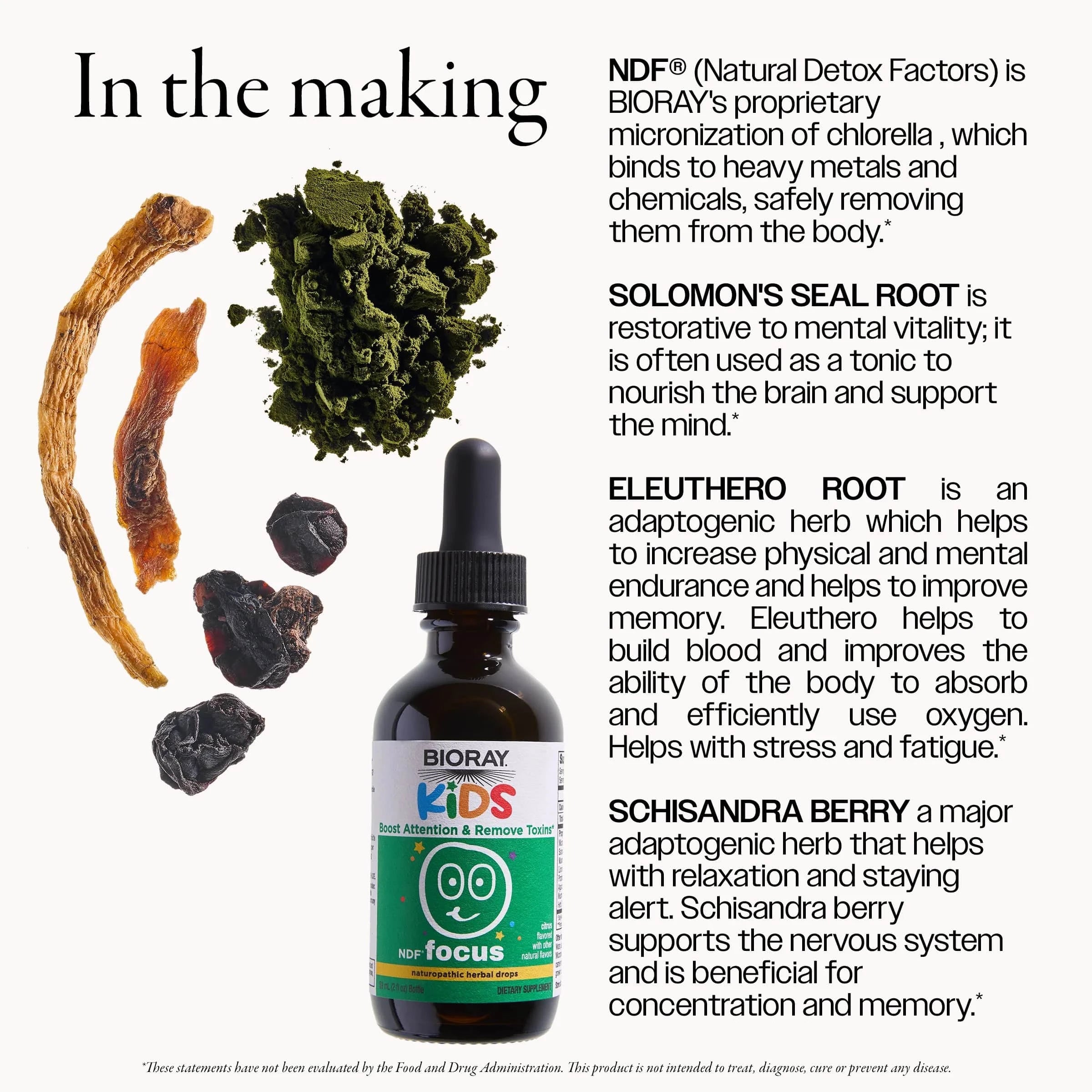 Niños NDF Focus - 2 oz - Bioray