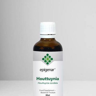 Epigenar Houttuynia - welzo