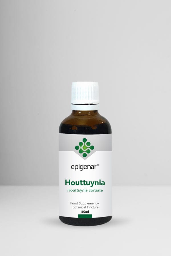 Epigenar Houttuynia - welzo