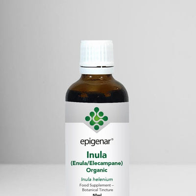 Epigenar Inula (Enula/Elecampane) Organic - welzo