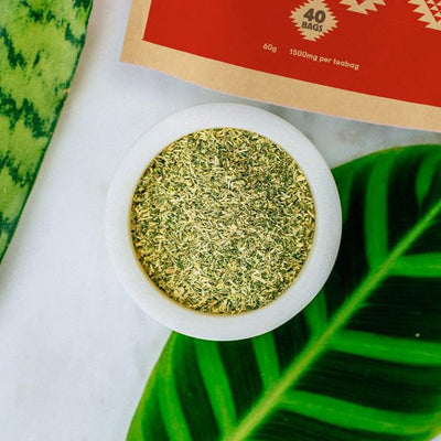 Rio Amazon Tea Espinheira de Santa (Chuchuwasi) Teabags- 90 teabags - Welzo