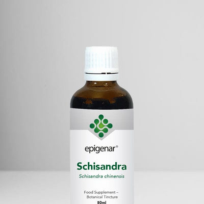 Epigenar Schisandra chinensis - welzo