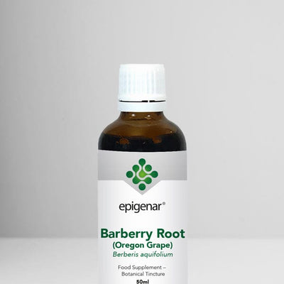 Epigenar Barberry Root (Oregon Grape) - welzo