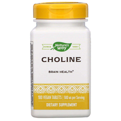 Choline 500 mg, 100 Vegan Tablets - Natures Way - welzo