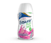 Ensure Plus Juce Fruit Punch 220ml - welzo