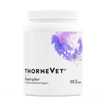 Gastriplex, Gastrointestinal Support, 180 Soft chews - Thorne - welzo