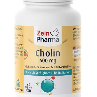 Zein Pharma Choline, 600mg - 60 caps
