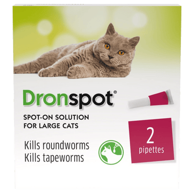 Drontal Dronspot Spot-On Solution for Large Cats Pack of 2 - welzo