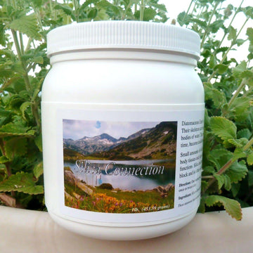Silica Connection Diatomaceous Earth, 16oz - Perma Guard - SOI* - welzo