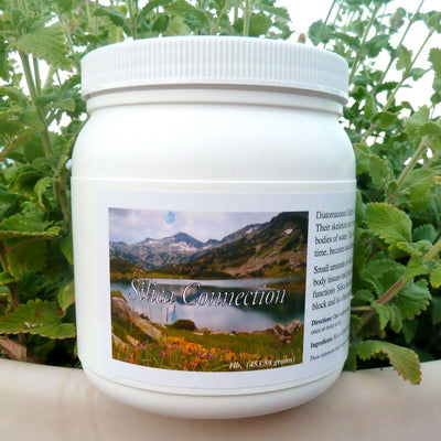 Silica Connection Diatomaceous Earth, 16oz - Perma Guard - SOI* - welzo