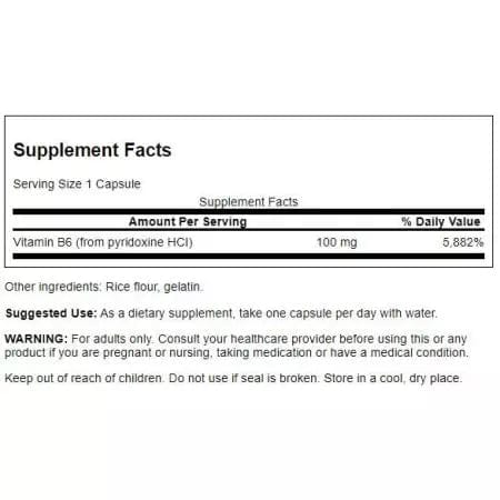 Swanson Vitamin B6 Pyridossine 100mg