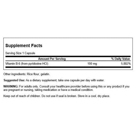 Swanson Vitamin B6 Pyridossine 100mg