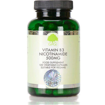 Vitamin B3 Nicotinamide 500mg 120 Capsules - G&G Vitamins - welzo