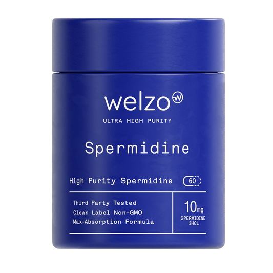 Best-Rated Spermidine Supplements in the UK 2026