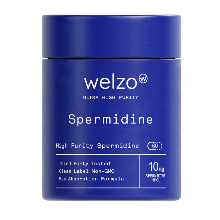 Best-Rated Spermidine Supplements in the UK 2026