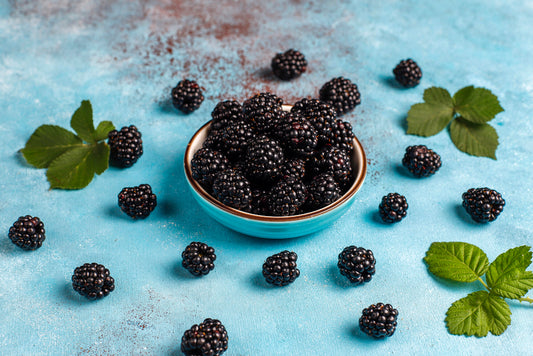 Mulberry Fruit: Health Benefits and Nutrition Facts