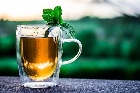 12 evidence-based health benefits of drinking tea - welzo