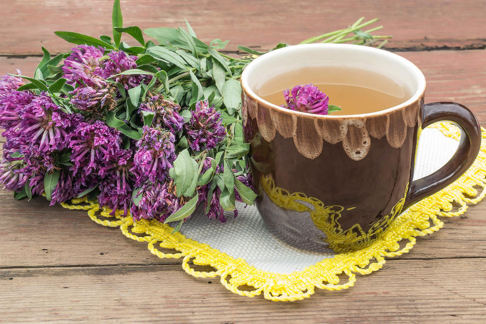 Milk Thistle Tea: Health Benefits and Risks