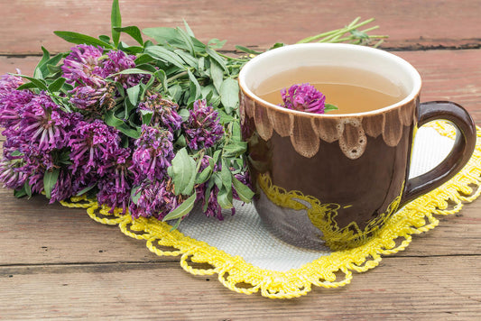 Milk Thistle Tea: Health Benefits and Risks