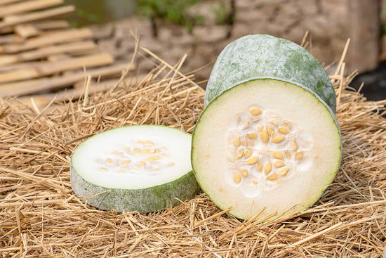 Ash Gourd: Benefits and Uses 