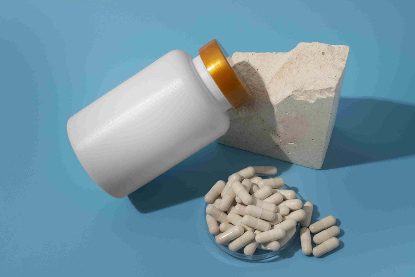 seed probiotic uk