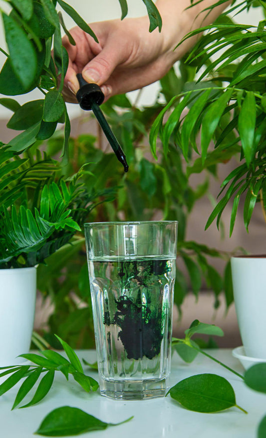Liquid Chlorophyll: Benefits, Risks and Uses