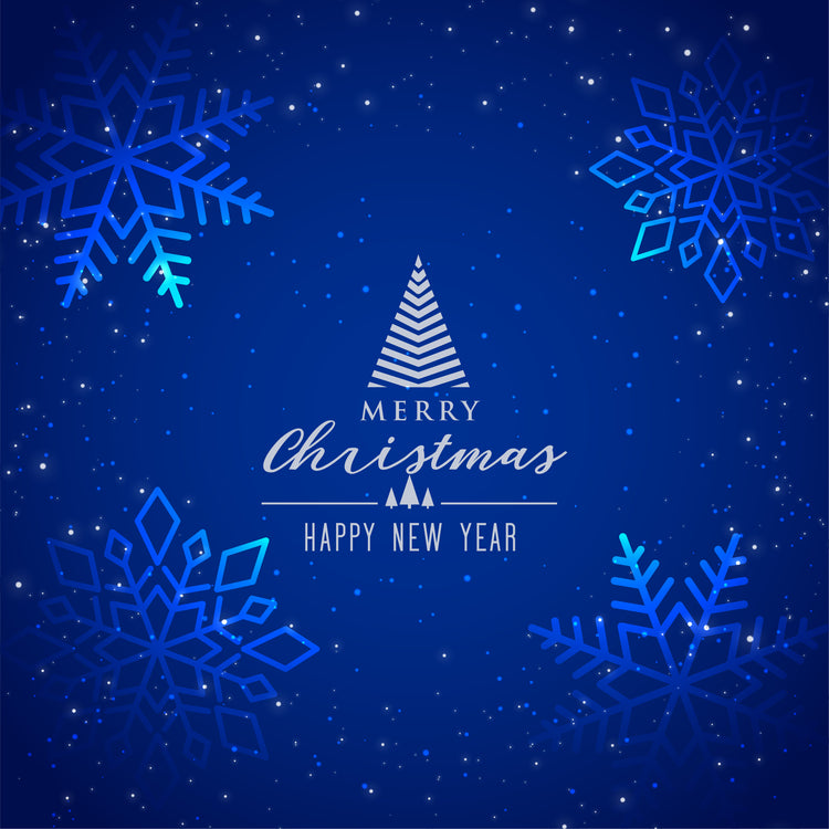 Christmas 2024 Holiday Update