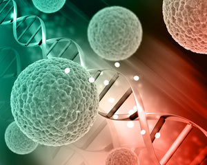 What Level of Eosinophils Indicate Cancer?