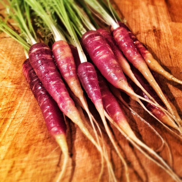 Purple Carrots: Are They Healthier?- Welzo