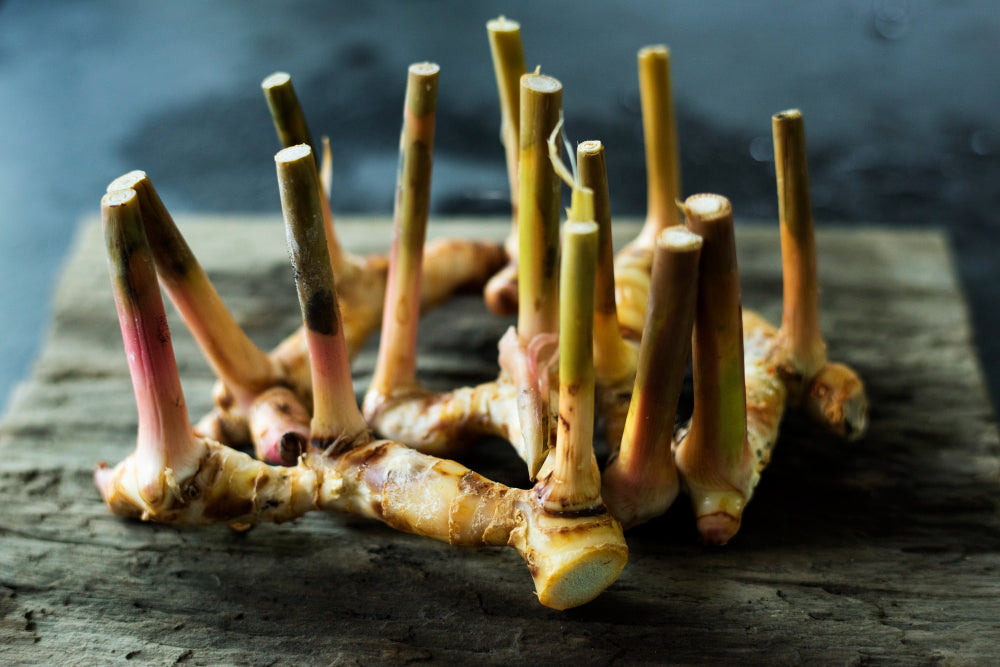 Galangal: Benefits, Risks and Uses