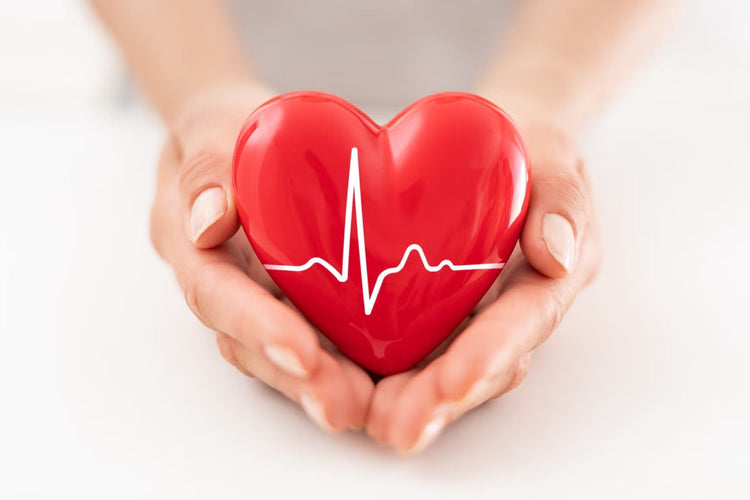Best Supplements for Heart Health in 2026