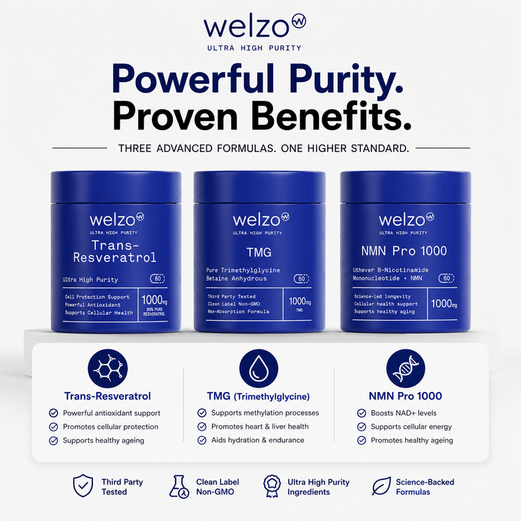 Longevity supplements for men over 50 to support healthy ageing and vitality