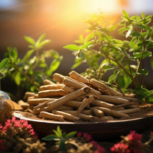 Ashwagandha Benefits for Female - welzo