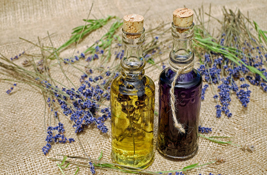 Patchouli Oil: Benefits, Risks and Uses