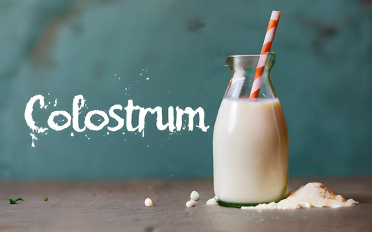 Best 7 Colostrum Supplements Ranked - welzo