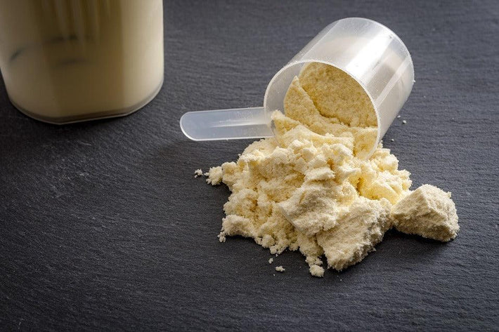 Casein -Intoleranz & Allergien - Symptome, Tests und Ursachen – welzo