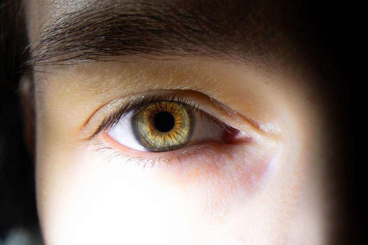 2 Rings Eyes Limbal Ring: Wer hat es und was bedeutet das? - Welzo