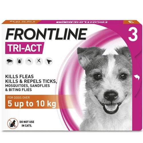 5 Best Dog Flea Treatments for Your Pup
