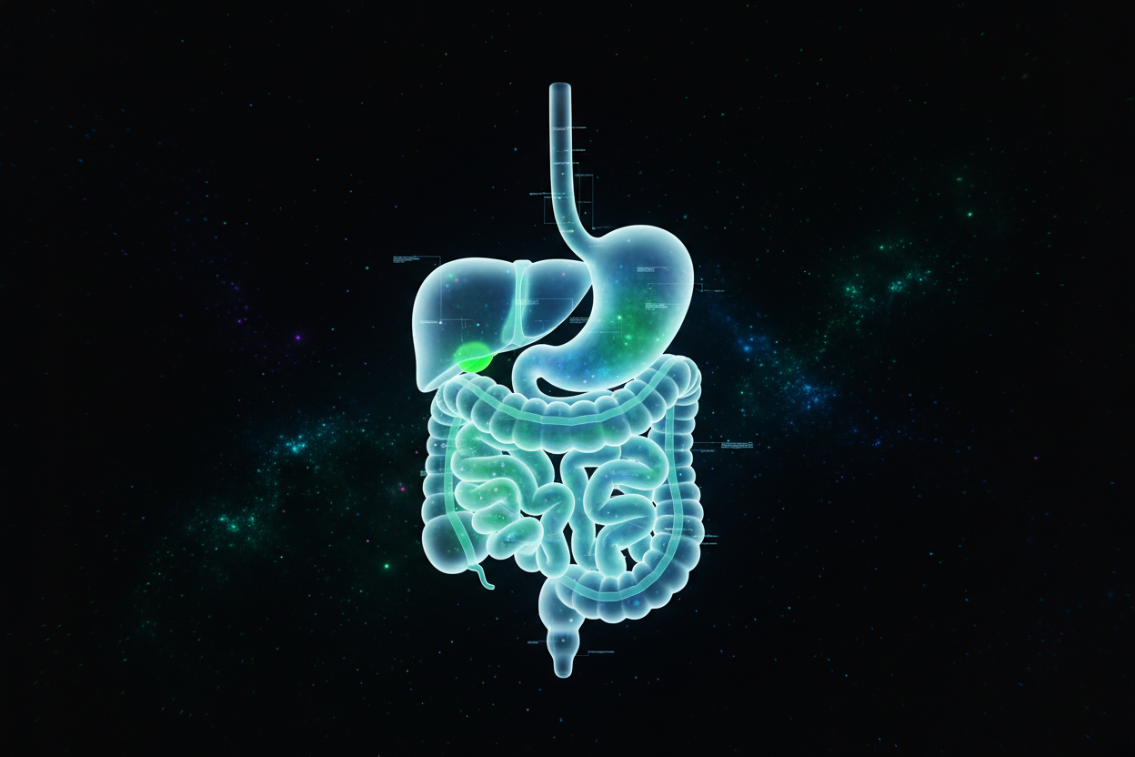 Gut microbiome testing to assess digestive health and gut bacteria