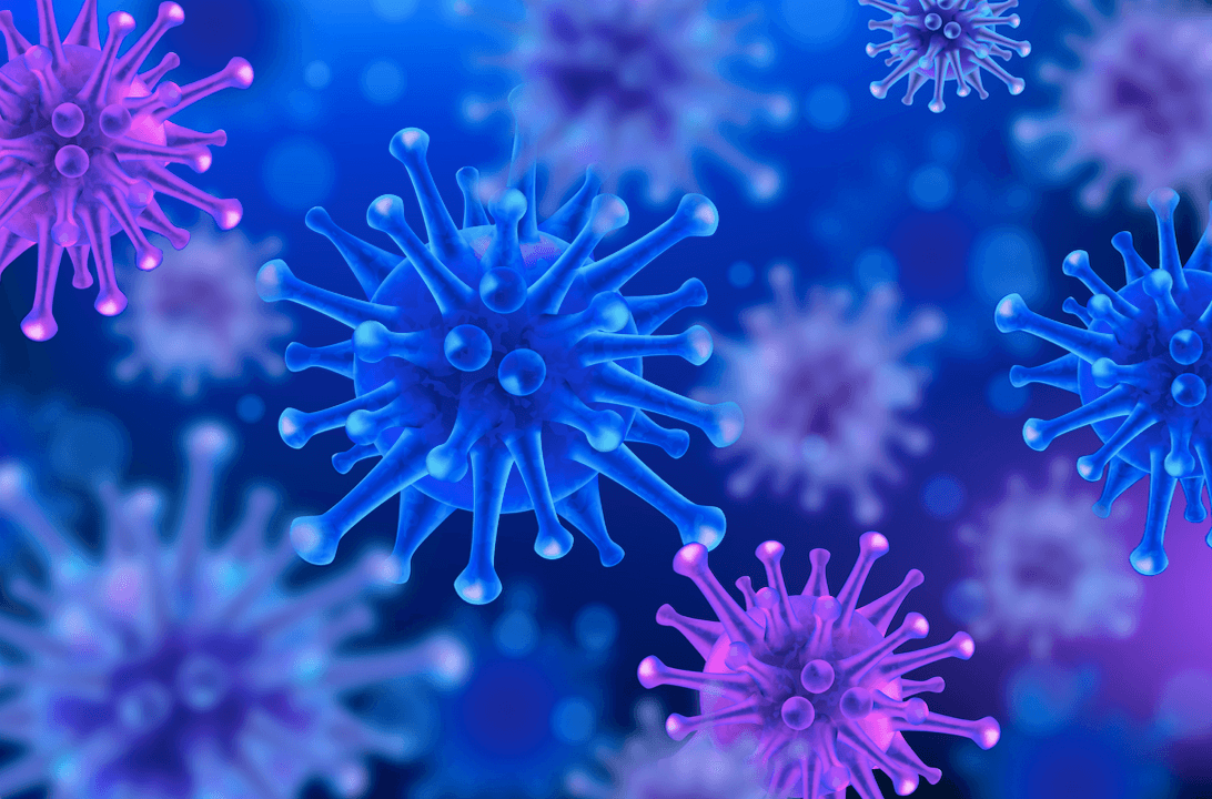 l carnitine and herpes Herpes Simplex Virus: Definition, Symptoms, Types, Cause and Treatment