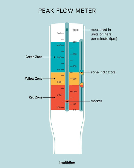 How to Use a Peak Flow Meter (Simple Step by step guide) - welzo